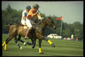 361042 Tramontana Vs Cowdray A4 Photo Print