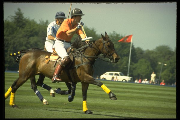 361042 Tramontana Vs Cowdray A4 Photo Print
