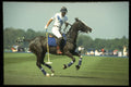 361044 Tramontana Vs Cowdray, Prince Charles A4 Photo Print