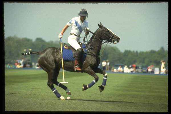 361044 Tramontana Vs Cowdray, Prince Charles A4 Photo Print