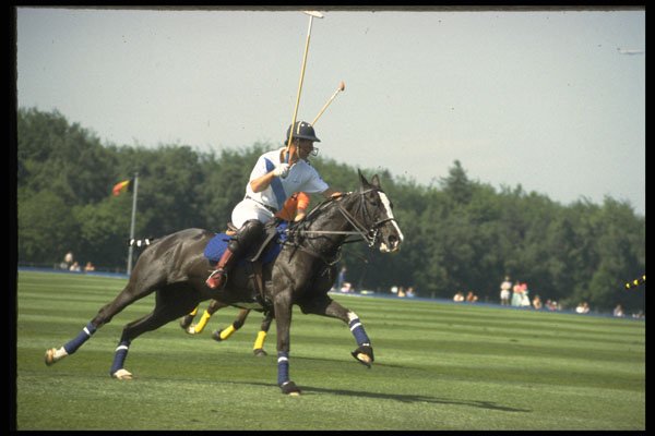 361045 Prince Charles In Action For Tramontana A4 Photo Print