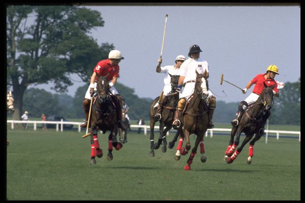 361046 High Goal Challenge '93, Toronto Vs Montreal A4 Photo Print