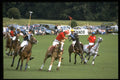 361048 Condray Gold Cup A4 Photo Print