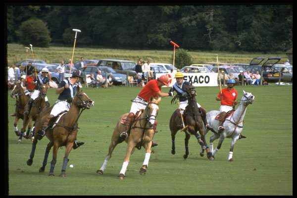361048 Condray Gold Cup A4 Photo Print