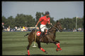 361049 Prince Charles A4 Photo Print