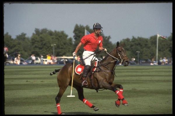 361049 Prince Charles A4 Photo Print