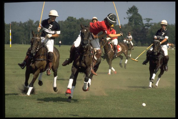 361053 Jaipur Trophy, Maple Leafs Vs Ellerston Blacks A4 Photo Print