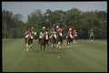 361055 Coworth Park, Maple Leafs Vs Ellerston Blacks A4 Photo Print