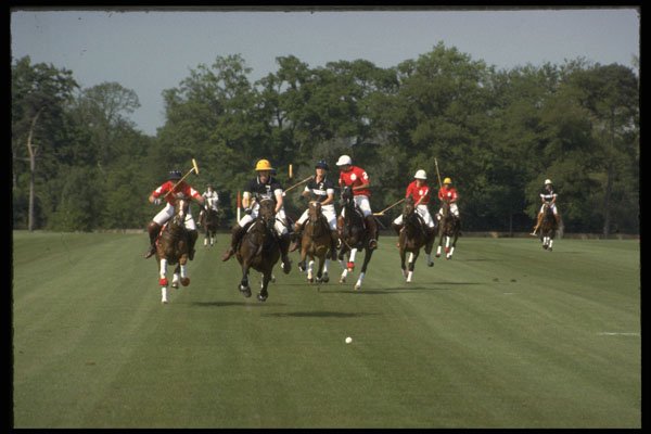 361055 Coworth Park, Maple Leafs Vs Ellerston Blacks A4 Photo Print