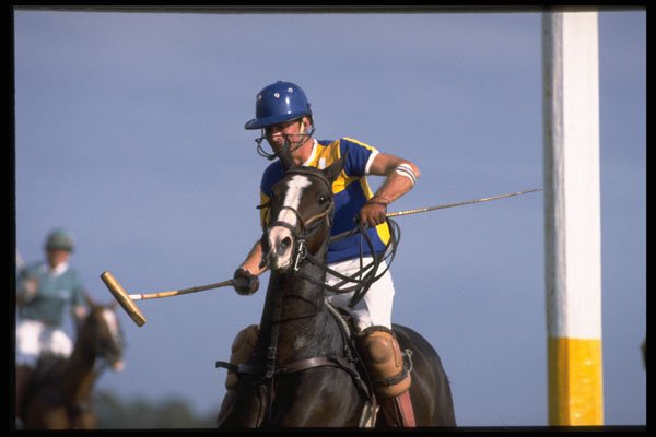 361056 Autumn Tournament, Guards Polo Club A4 Photo Print
