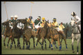 361062 Alfred Dunhill Trophy A4 Photo Print