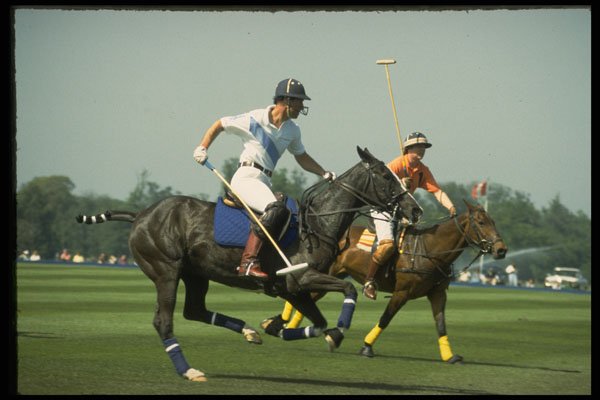 361065 Tramontana Vs Cowdray A4 Photo Print