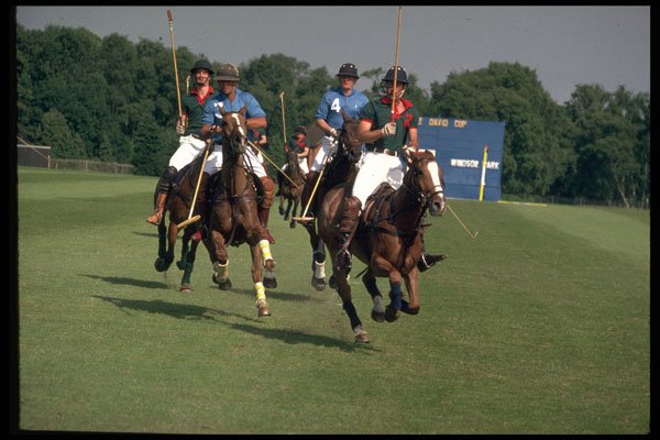 361067 Prince Charles (in Green) On The Attack A4 Photo Print
