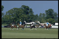 361068 Royal Berkshire Polo Club A4 Photo Print