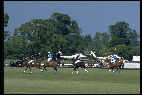 361068 Royal Berkshire Polo Club A4 Photo Print