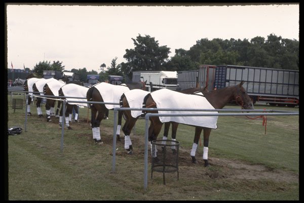 361077 Guards Polo Club, Ellerston Ponies A4 Photo Print
