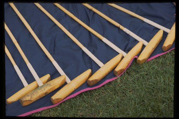 361079 Pendell Polo Sticks A4 Photo Print