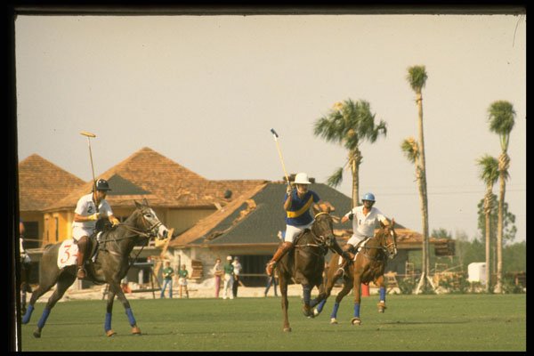 361091 Anadariya Vs Retama A4 Photo Print