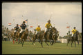361092 Anadariya Vs USA, Texas A4 Photo Print