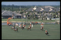 361094 Final, Retama Vs Hallal A4 Photo Print