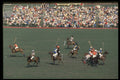 361096 Final, Retama Vs Hallal A4 Photo Print