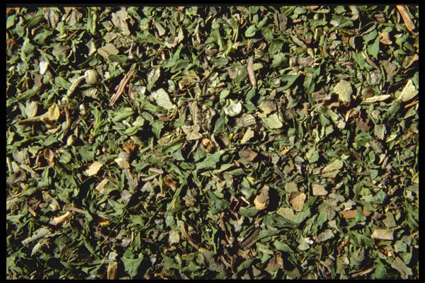 362004 Fine Herbs A4 Photo Print