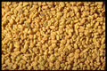 362006 Whole Fenugreek A4 Photo Print
