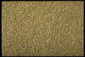 362007 Ground Basil A4 Photo Print