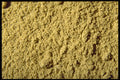 362008 Ground Fennel A4 Photo Print