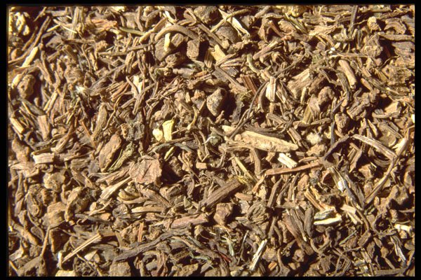 362009 Valerian Root A4 Photo Print
