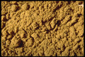 362011 Ground Celery Seeds A4 Photo Print