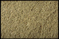 362013 Ground Sage A4 Photo Print