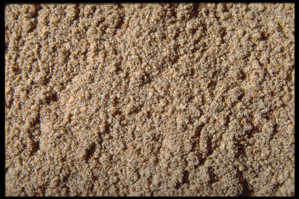 362020 Ground Cardamom A4 Photo Print