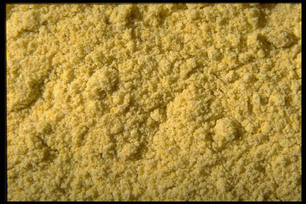362021 Mustard Powder A4 Photo Print