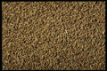 362022 Crushed Caraway Seeds A4 Photo Print