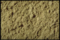 362024 Ground Kelp A4 Photo Print