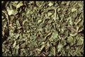 362025 Spearmint Leaves A4 Photo Print
