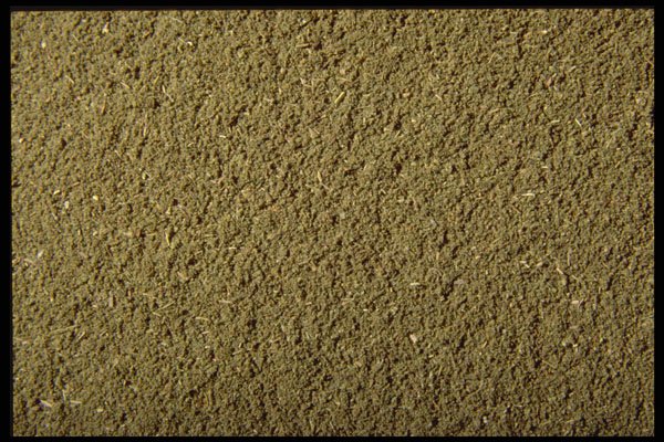 362026 Italian Seasoning A4 Photo Print