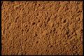 362027 Ground Cinnamon A4 Photo Print