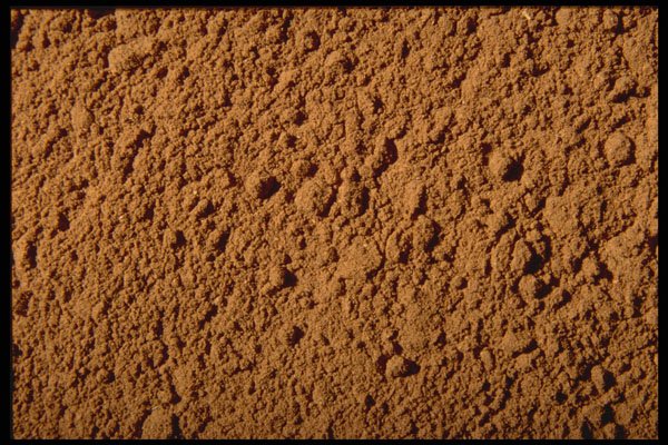 362027 Ground Cinnamon A4 Photo Print