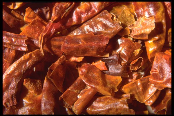 362029 Whole Chilies A4 Photo Print