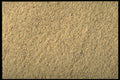 362030 White Ground Pepper A4 Photo Print