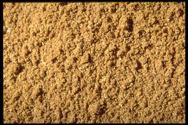 362037 Ground Turmeric A4 Photo Print