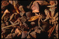 362044 Anise Star A4 Photo Print