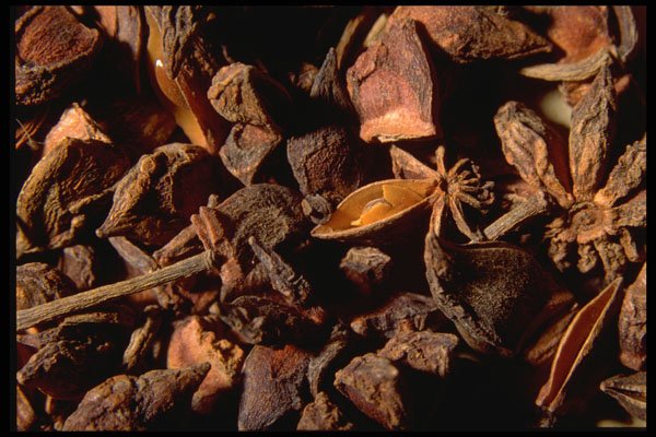 362044 Anise Star A4 Photo Print