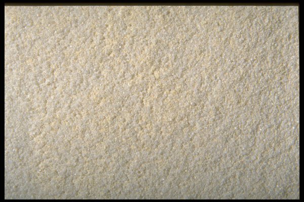 362046 Garlic Salt A4 Photo Print