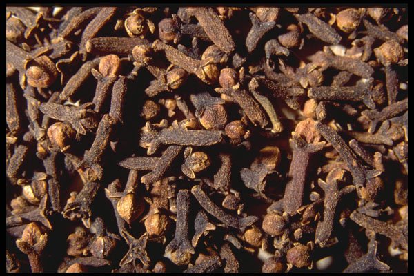 362047 Whole Cloves A4 Photo Print