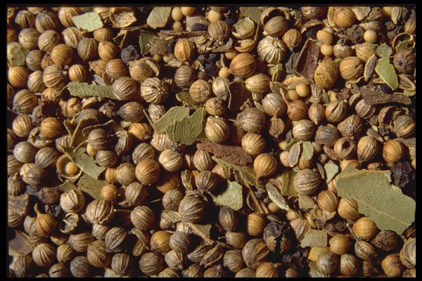 362048 Pickling Spice A4 Photo Print