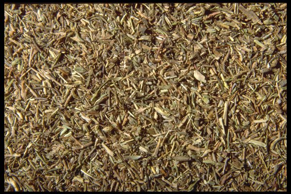 362050 Whole Thyme A4 Photo Print