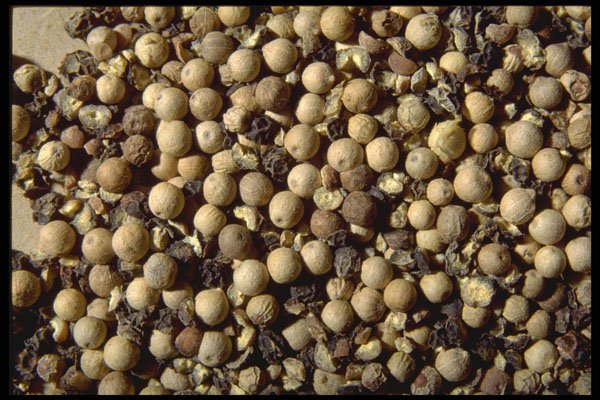 362055 Black Pepper And White Pepper A4 Photo Print